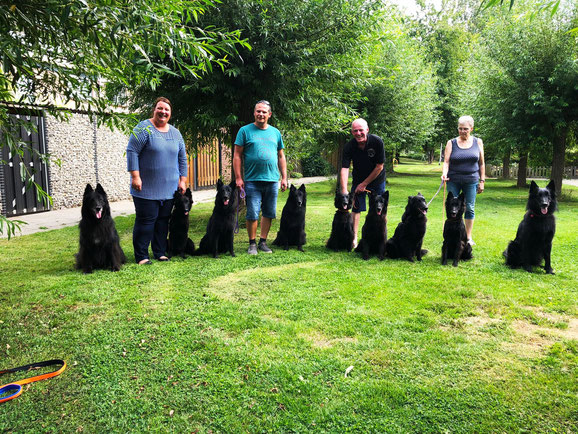 vlnr Lothar (Papa des Nicima`s B-Wurfes), Nicima`s Dior, Nicima`s Bria, Beau Noir des Feaux (Sohn v. Bliska), Chiyara des Feuax (Tochter v. Bliska), Nicima`s Bliska, Nicima`s Brittanie, Chelsea des Feuax (Tochter v. Bliska), Eorl Brave Heart vd Nidderspit