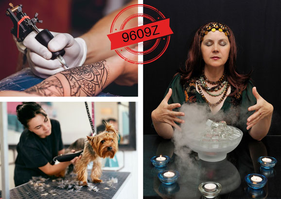 Professions regroupées dans le code APE 9609Z (tatoueur, toiletteur canin, médium...)