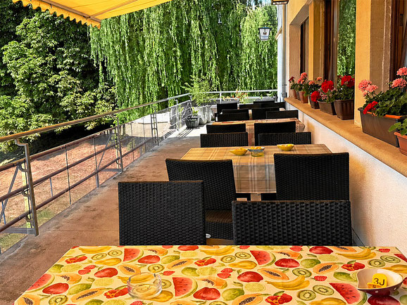 Terrasse und Aussenbereich des China Restaurant Mayflower