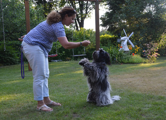 Bea-Nala von Walsede aus unserem B- Wurf