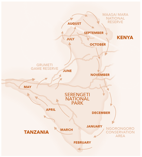 Tiermigration Tansania