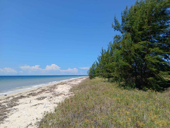 East Sumba land for sale
