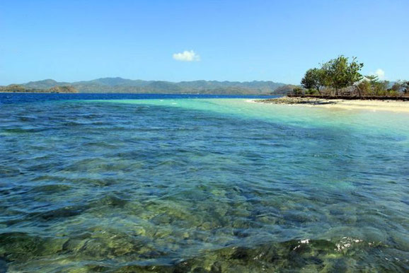 Gili Layar land for sale by owner.