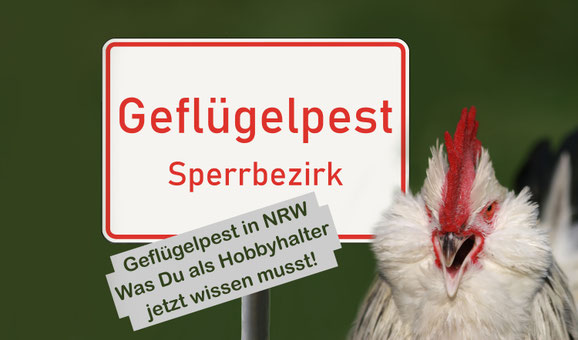 Schild Geflügelpest Sperrbezirk mit Lachshahn