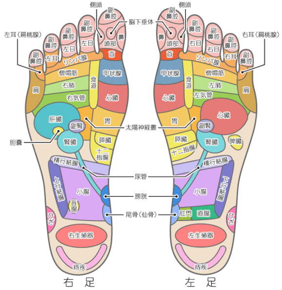 出典 qta.chicappa.jp 