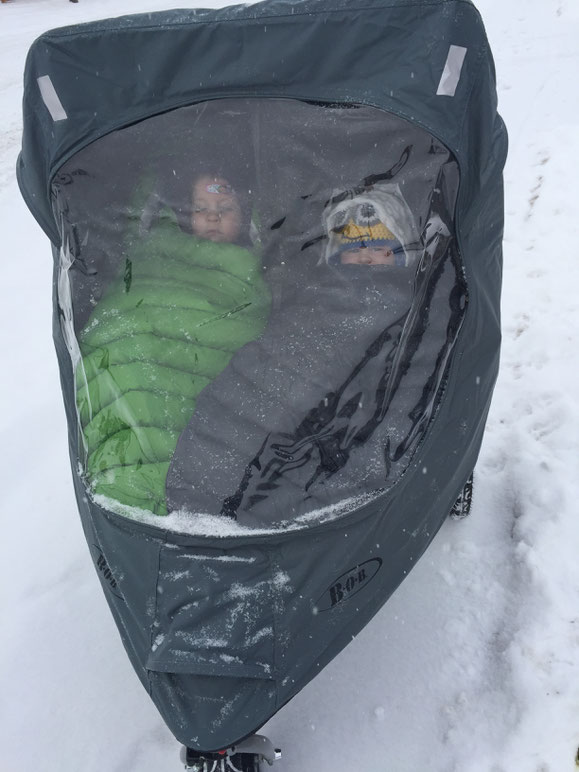 Bob Stroller with weather shield