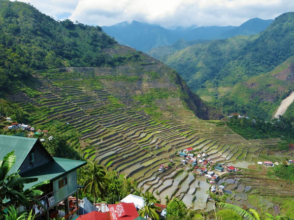 Reisterrassen bei Batat, Banaue