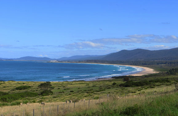 In Tasmanien gibt es unglaublich weite Strände, und das Tollste ist, sie sind meistens menschenleer.