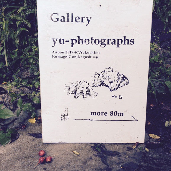 yu-photographs,yakushima,Gallery