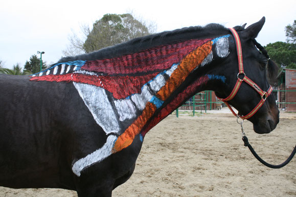 Anatomía del caballo: el esquelto y los huesos de las manos (extremidades anteriores) del caballo