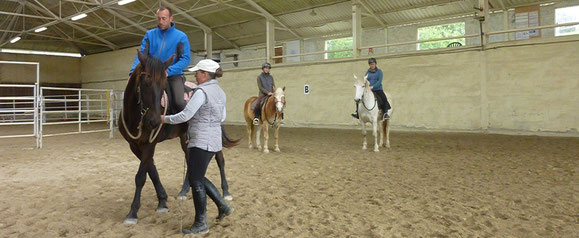 Después del trabajo en libertad y pie a tierra, transferir el lenguaje corporal del jinete y de la rienda a caballo para una comunicación más clara y fácil de entender para el caballo