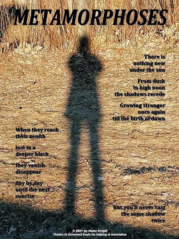 Heinz Kröpfl Metamorphoses Poetry Poesie Lyrik Montage Fotomontage Mischtechnik künstlerische Fotografie Kunstfotografie künsterischer Fotograf