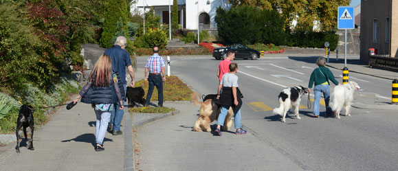 Start in Obergösgen