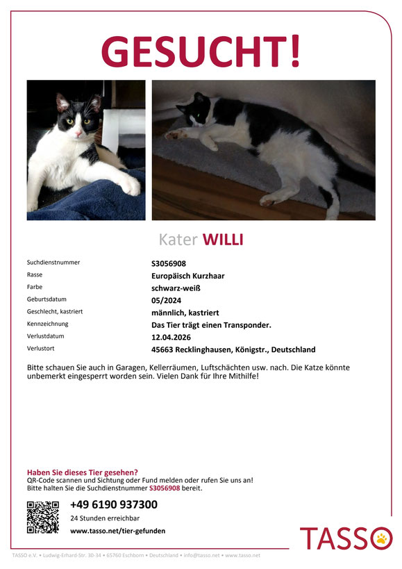 🚩UPDATE: Willi ist wieder zuhause! 😇