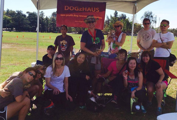 Team DOGzHAUS for Race for the Rescues at Rose Bowl in October 24