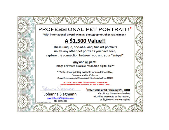 ITEM #3: PROFESSIONAL PET PHOTO PORTRAIT! (VALUE $1500)