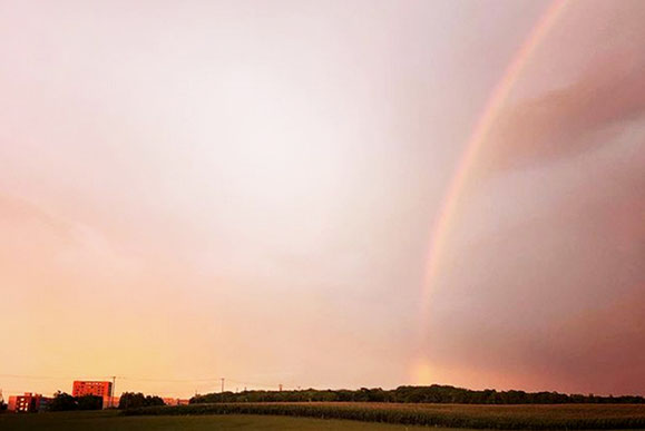 酪農学園大学さんInstagram画像より