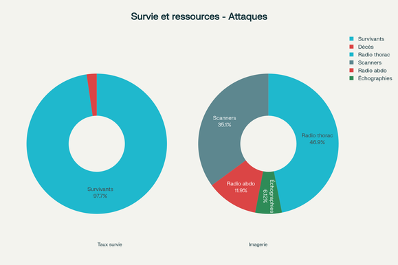 Taux de survie et conséquences des attaques au couteau - Charge sur le système de santé