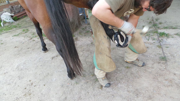 Foto: Marc Sánchez i Carbó - Barefoot - adaptando una bota al casco del caballo