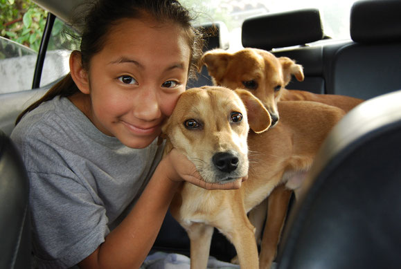 Freedom ride from North Central Shelter (with a volunteer)