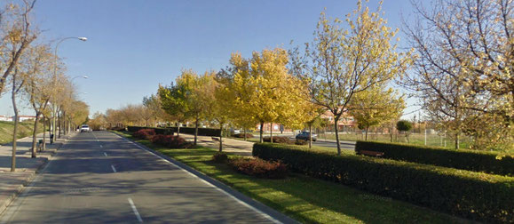 Paseo arbolado en el Camino Viejo de Vicálvaro