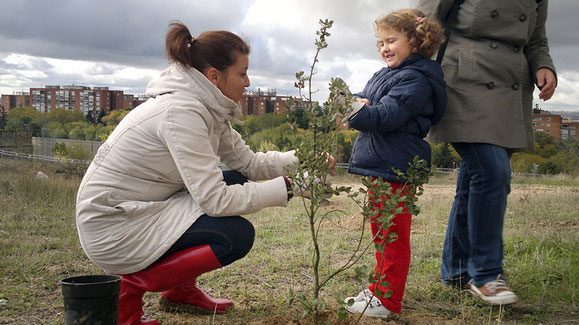 Dos vecinas plantando un árbol en el cerro de Almodóvar (cerroalmodovarverde.blogspot.com)