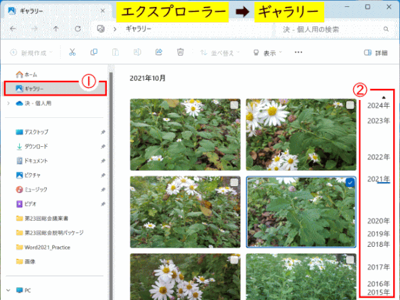 gallery01:エクスプローラーに「ギャラリー」が追加された