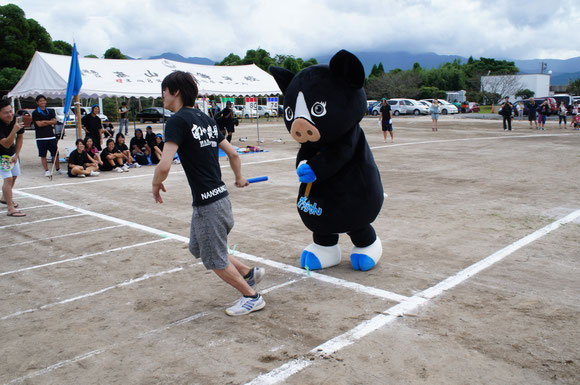 南州農場の黒豚ちゃん大活躍でした!