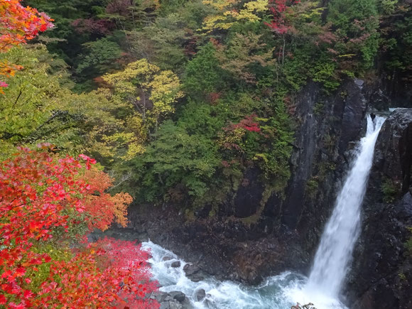 「高樽の滝」　厳しい冬が訪れるまでの短くて美しい紅葉