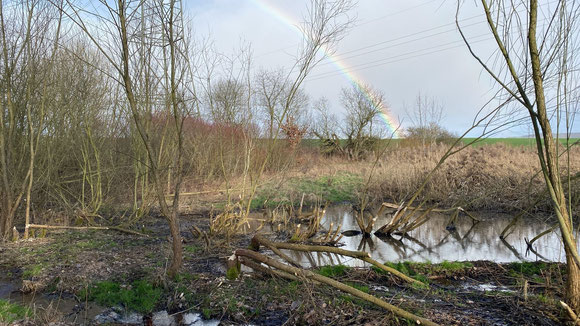 Foto: Nagespuren, Quelle: NABU Flieden