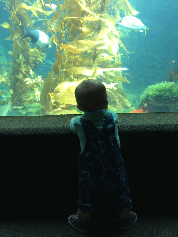 Birch Aquarium in La Jolla with Baby