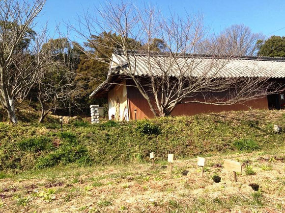 むかしやさいの貸農園(ファームシェア)平成26年2月