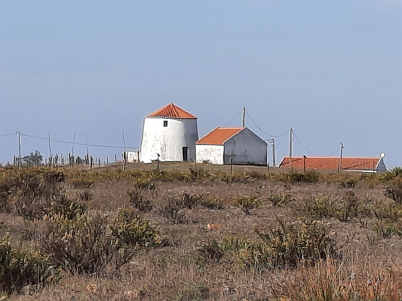Meine erste portugiesische Windmühle 