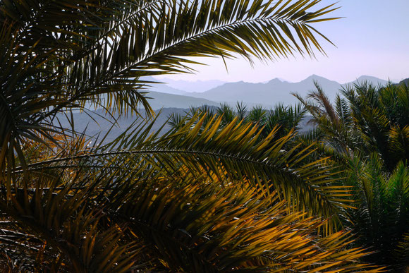 der Ausblick von meinem Sessel aus :-). Und der erste klare Tag im Oman, kein Dunst, evtl. aufgrund der Höhenlage.