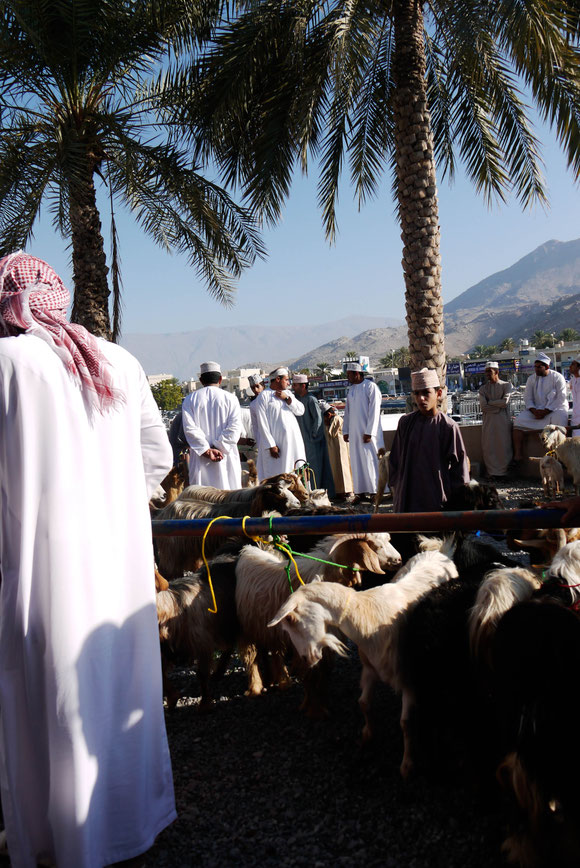 der Markt in seiner Umgebung