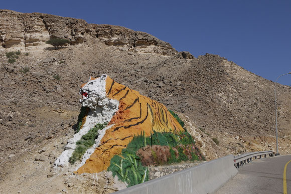was die "mano del desierto" für Chile bedeutet, soll dieser Tiger für den Oman werden: passend auf das Gestein am Durchbruch einer Passhöhe gemalt.