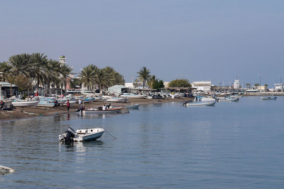 der Fischereihafen von Seeb