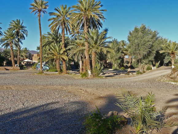 Der Campingplatz auf dem Gelände der Kasbah ist von Palmen beschattet
