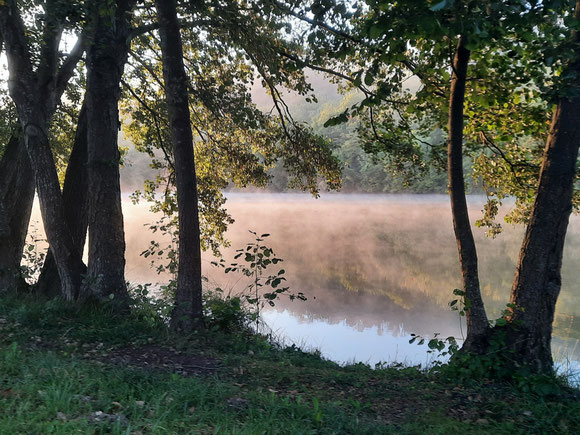 Am nächsten Morgen trafen mich die Vorboten des Herbstes: Nebelschwaden lagen über Teilen des Cpl. und tanzten über die Mosel.  Alles auf dem Boden war klätschnass, als ob es geregnet hätte. Und die Bäume am Ufer gen Osten verhinderten, dass die Sonne etwas trocknen konnte. 