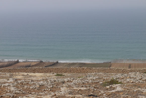 Landwirtschaft direkt am Meer zwischen Safi und El Jadida
