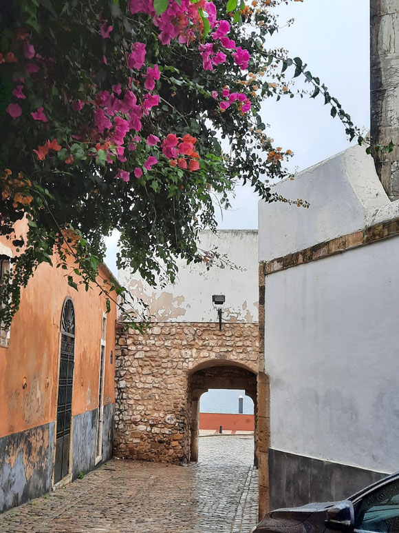 Bougainvilleas verschönern einfach alles, vor dem Torbogen zum Hafen 