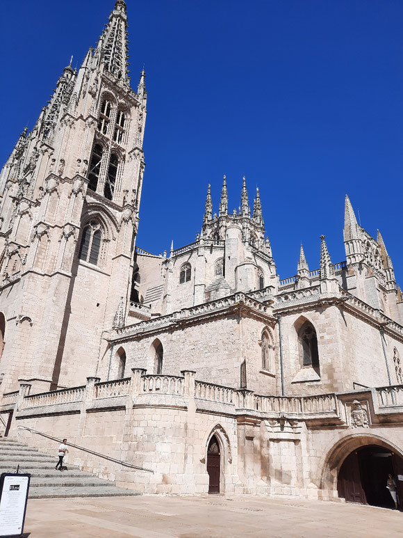 Die Kathedrale von Burgos: sie ist zu groß für das Weitwinkel meines Handys. 