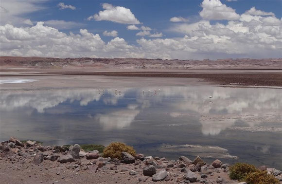 kurz vor der Grenze zu Argentinien öffnete sich die Landschaft ins scheinbar Unendliche