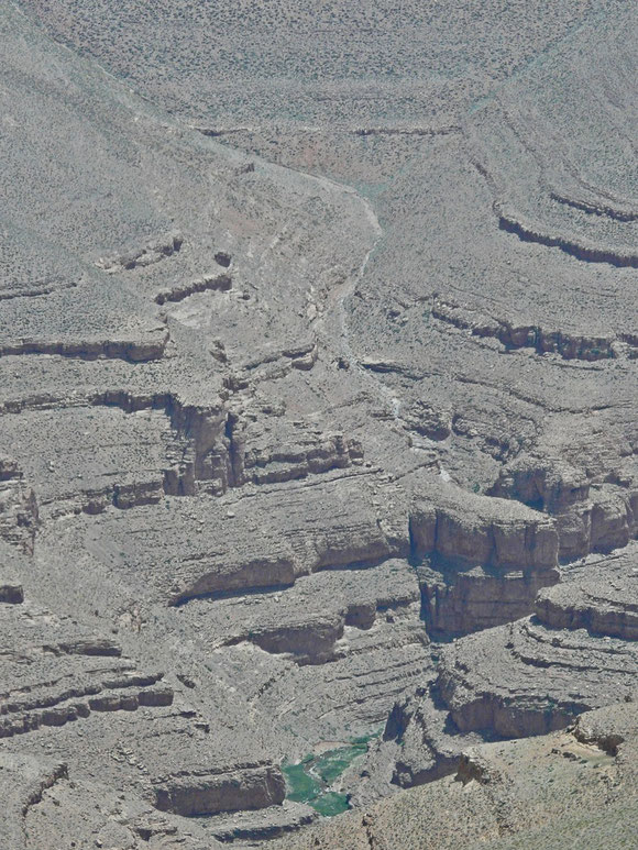 Blick von oben in eine Oase in der Dadesschlucht