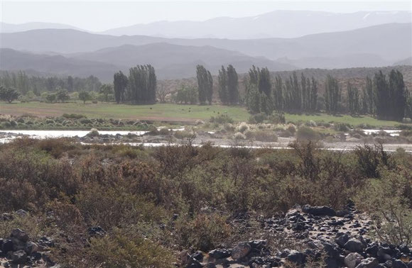 ...aufgewirbelter Staub und Sand: willkommen in Patagonien . Daher sind Pappeln immer ein Anzeichen von Häusern (hier eine einsam gelegene Farm)