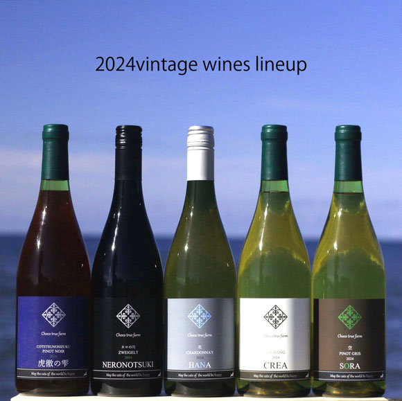 2024vintajeWinesLineup
