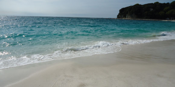 南紀白浜を望む