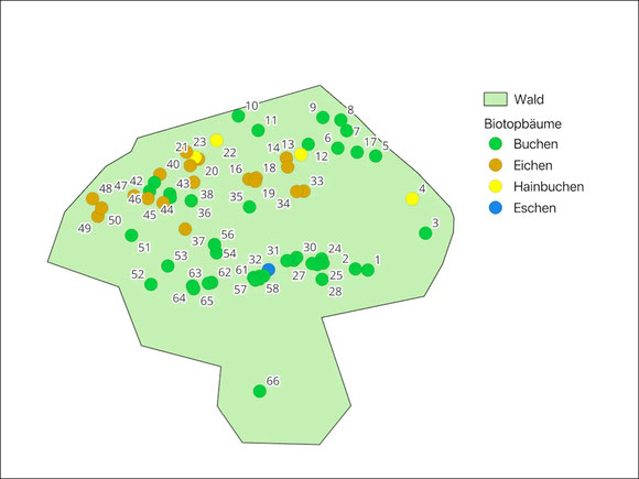 Beispiel für eine GIS-basierte Karte, die mit einer Datenbank verbunden ist. In diesem Fall wird die Baumartenverteilung dargestellt, aber auch andere Daten lassen sich auf diese Weise grafisch analysieren.