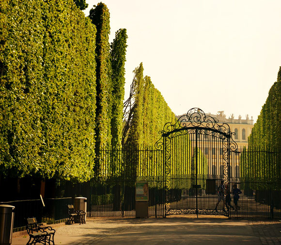 Wien