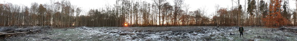 Katswall bei Lüsewitz im November 2016  bei Sonnenaufgang, 2 ha kahl, die Esche ist abgestorben nun kommt die Erle